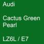 Preview: Audi, Cactus Green Pearl, LZ6L / E7.